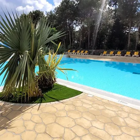 Chalet Le Corail - Camping Du Bois Masson Saint-Jean-de-Monts